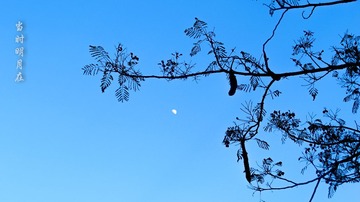 IMG_3094.jpg
