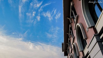 IMG_3084.jpg