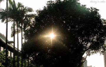 IMG_3068.jpg