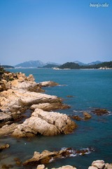 IMG_3406.jpg