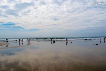 IMG_3459.jpg