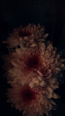 F9C9858E-C71E-41EF-AD74-14307C25D913/L0/001