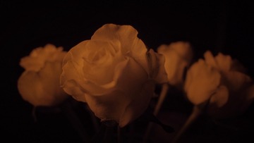 6770F933-8C33-473C-9DD7-C18A0B63B3D0/L0/001