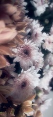 E6861A25-A2F1-458C-B450-DD88A17CDB65/L0/001