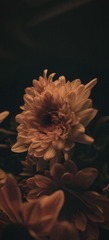 8AE7C95C-2E37-45E4-A5BC-3CA184724B44/L0/001
