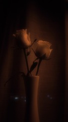 C20F6460-167D-47E8-9F51-6096D52336D6/L0/001