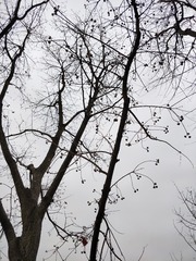 198