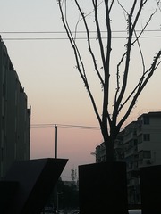 1013127