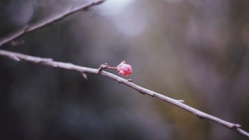 1617C447-A839-4121-A547-6509EF067A86/L0/001