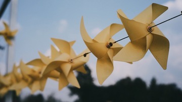 18455FA8-688F-4E96-B3E4-E3C5F21DD382/L0/001