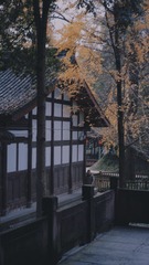 9FF199F0-EEFB-49A1-9C26-B0305A0217A4/L0/001