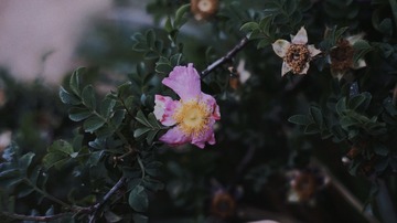 7C78FDCC-0133-4A76-B279-2E06595B5EF3/L0/001