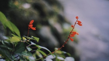 F03892DC-1C73-40C4-8E21-086DFE0C5794/L0/001