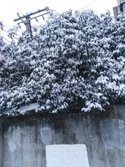 947212