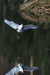 105468