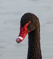 2570261