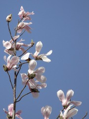 09F662AC-E8D5-44CB-84F9-0D80DF73F0BF/L0/001
