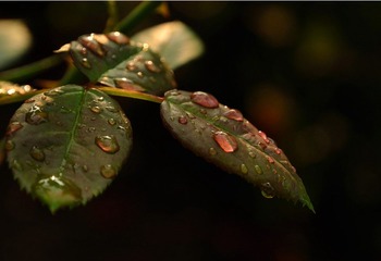 DSC_2876.jpg