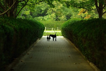 DSC_3906.jpg
