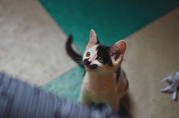 DSC_7675.jpg