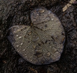 154150