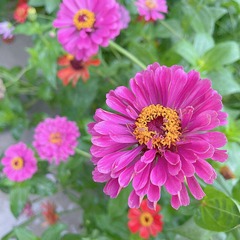 54F3746E-5BCD-4D1F-A18F-5FC6CDAB4157/L0/001