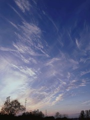 AC830B36-E49B-4386-A8FF-A35594484887/L0/001