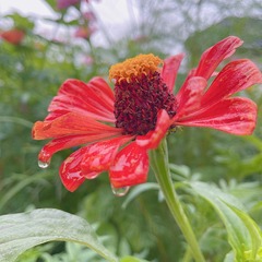 54DB2B2C-0165-4FD4-A000-14B5A6E688D3/L0/001