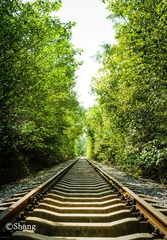 2641252