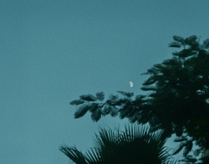 A0B719F0-B668-4A11-8BC9-F87A09B74236/L0/001