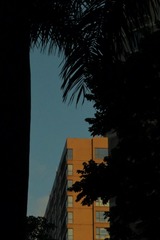 CE3C9BEC-6CF3-4D18-B1F2-45561332B0C3/L0/001