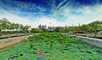 IMG_0018.jpg