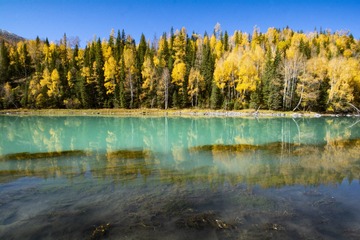 LZD_6275