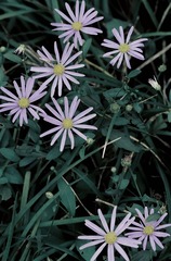 1C93C110-A460-49EF-869A-41675A1AB5F6/L0/001