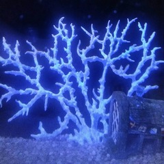 4046954