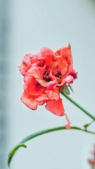 57FF20F6-39FE-4F67-90DD-2DF248145165/L0/001