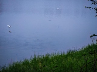 18203