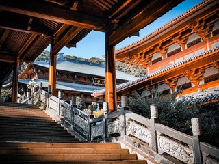 19026