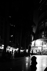 DSC07783a.jpg