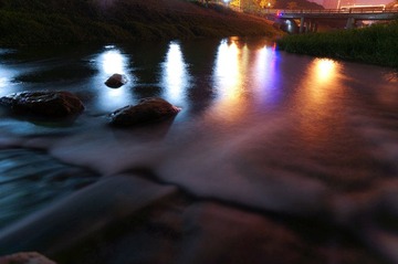 DSC08355a.jpg