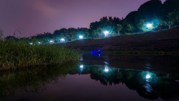 DSC08364a.jpg