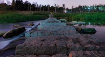 DSC08368a.jpg