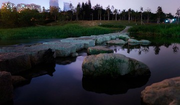 DSC08375a.jpg