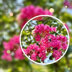 1C876EFD-149B-4405-86FE-4EE202D24F95/L0/001