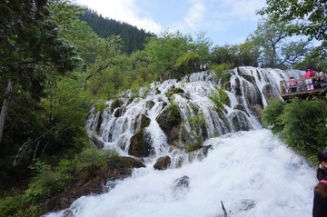 DSC00101.JPG