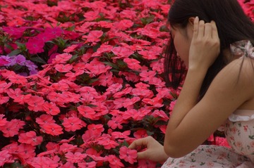 D5000CA0-8C39-447B-BC61-9DDEF3E0FD27/L0/001