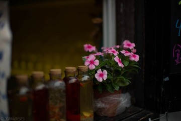 L1001888.jpg