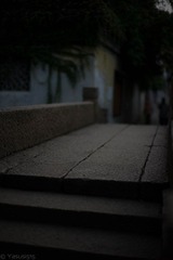L1001902.jpg