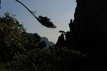L1002136.jpg