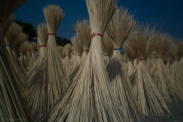 L1002374.jpg